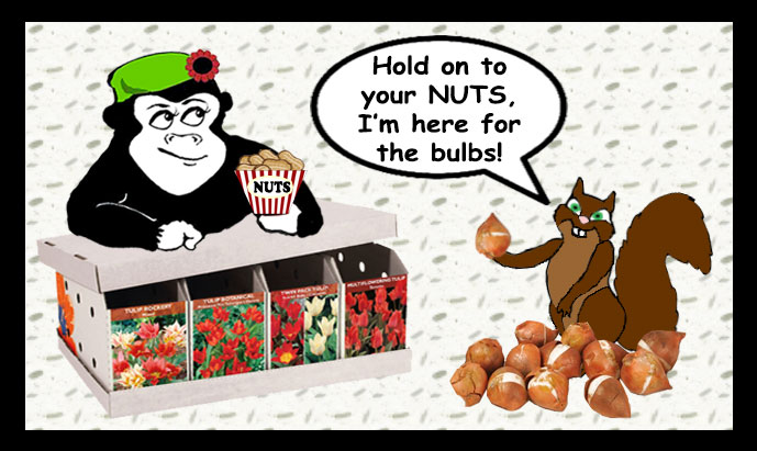 Guerrilla Garden Squirrel Appreciation Day-Hold your Nuts