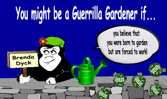 You_might_be_a_Guerrilla_Gardener_if_12