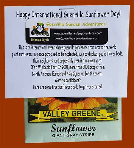 International Sunflower Guerrilla Garden Day - May 1 2017 Seed Pack