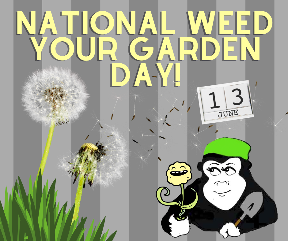 National Weed Your Garden Day! June 13th