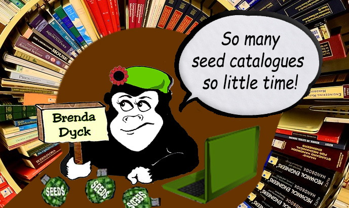 Guerrilla Gardener with Catalogues making Tomato Seed Choices