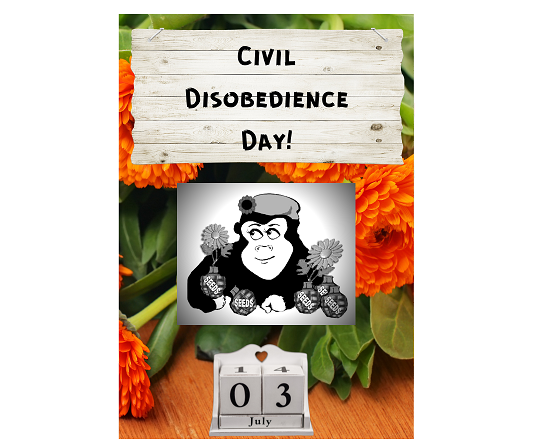 Civil Disobedience Day_Guerrilla Garden Inspired